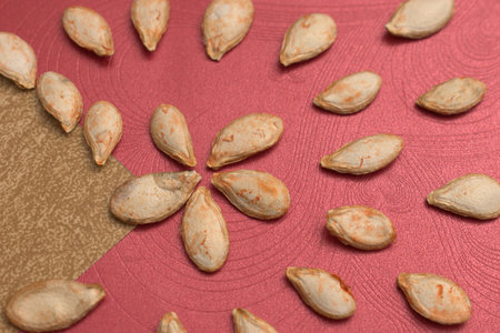 pumpkin seeds on a red background. close-up.の写真素材