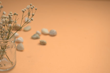 White dry flowers in glass jar on orange background with copy space.の写真素材