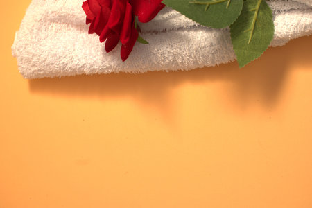 White towel and red rose on orange background with copy space for textの写真素材