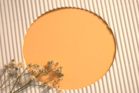 round frame with gypsophila flowers on a striped background.の写真素材