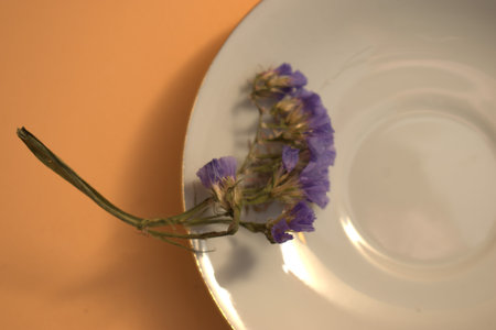 Dried purple cornflowers on a white plate and orange backgroundの写真素材