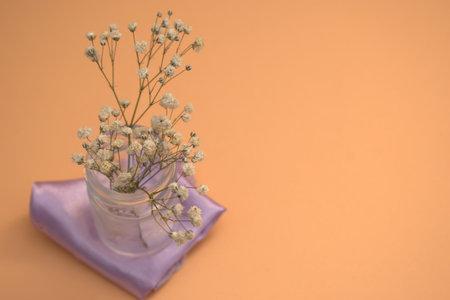 Dried flowers in glass vase on orange background with copy spaceの写真素材