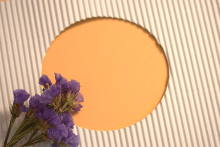 Beautiful dried flowers and frame on white background with blinds.