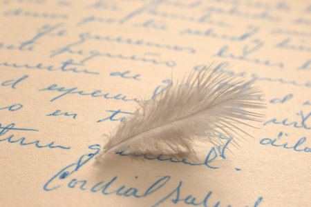 Feather on old letter, closeup of photo with soft focusの写真素材