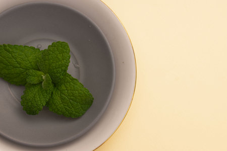 Mint leaves on a plate on a yellow background. Copy space.