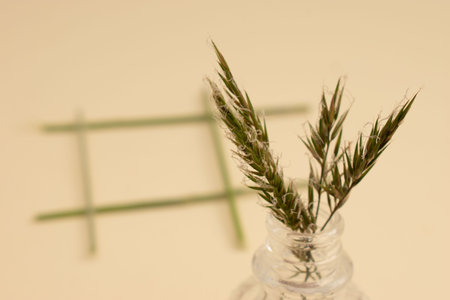 Grass in a glass vase on a light background with copy spaceの写真素材