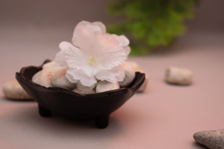 Spa still life with white flower and pebbles on pink background