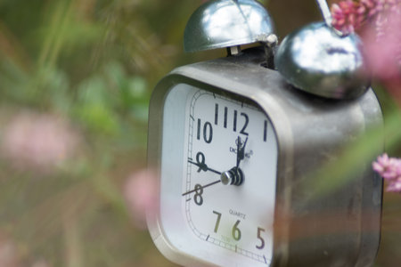 Retro alarm clock in the garden. Blurred background with copy space.の写真素材