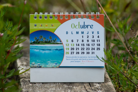 Calendar for the month of October 2019 on a wooden background.の写真素材