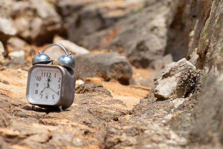 Alarm clock on a rock in the forest. Time to travelの写真素材
