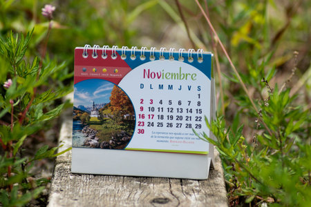 Calendar for November 2018 on a wooden table in the forest.の写真素材