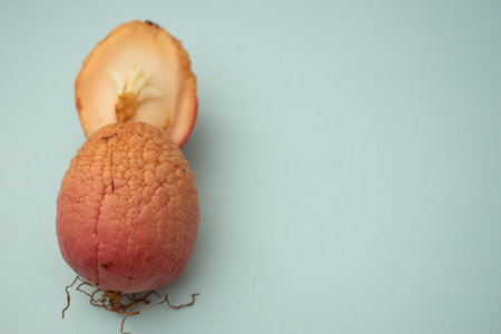 Ripe red ginger with space for text.の写真素材