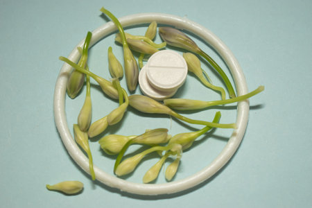 Capsule of pills on a blue background with green sprouts