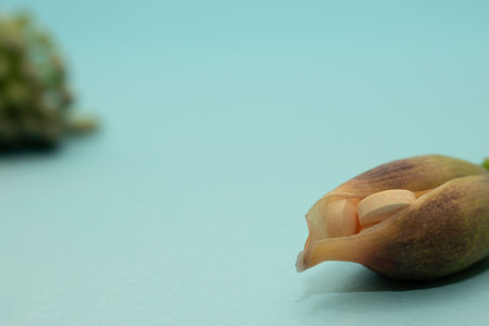 Seeds of a lily of the valley on a blue background