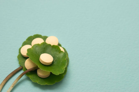 Ginkgo biloba leaf and pills on blue background with copy spaceの写真素材
