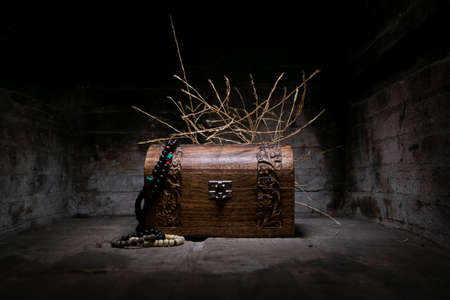 mystery box with a pink rose and treasures of pirates.