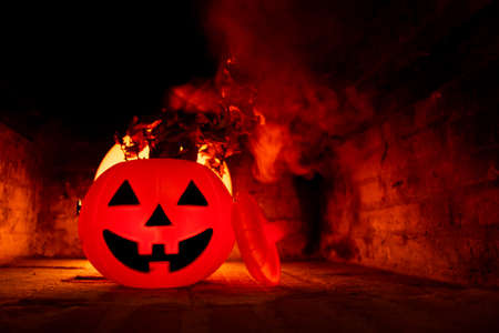 Orange pumpkin for halloweeen in the darkの写真素材