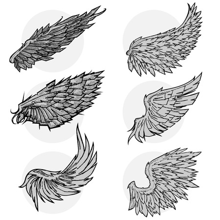vector wing set のイラスト素材