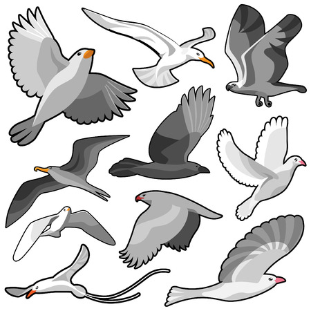 bird set のイラスト素材