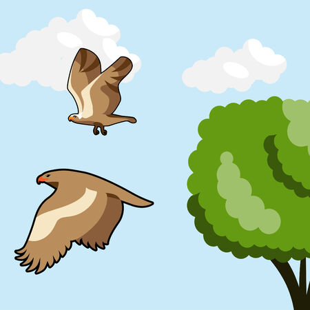 flying birds のイラスト素材