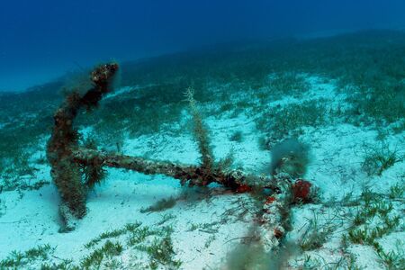 Anchorの写真素材