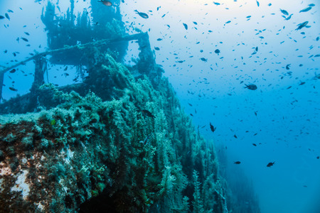 Ship wreck of the P.29.の写真素材