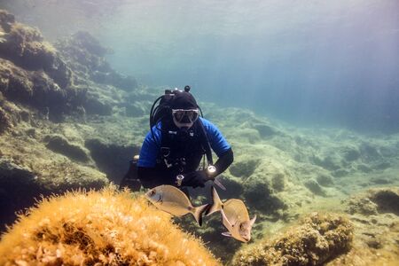 Fish waychingの写真素材