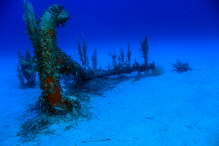 The Old Anchorの写真素材