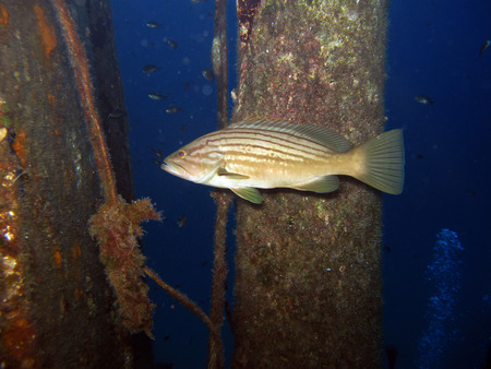 A Group Near The Mastの写真素材