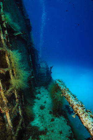 Port side companionwayの写真素材