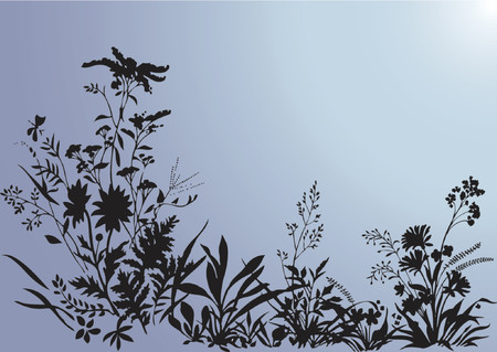 Plant background - vector illustrationのイラスト素材