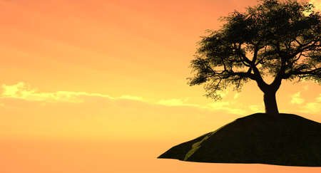 Old tree at a ocean beach - digital artwork.の写真素材