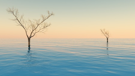 trees in the flood - digital artworkの写真素材