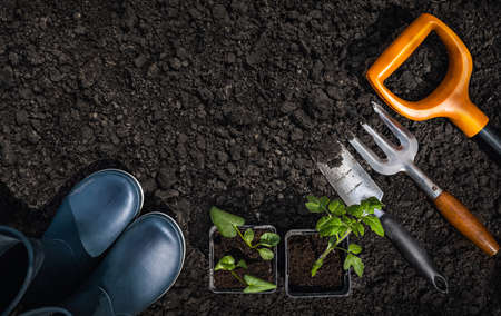 Gardening tools on fertile soil background, top view. Space for textの写真素材