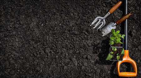 Gardening tools on soil background. Top view with copy spaceの写真素材
