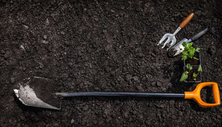 Gardening tools on fertile soil background. Top view with copy spaceの写真素材