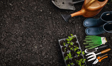 Gardening tools on soil background, top view. Space for textの写真素材