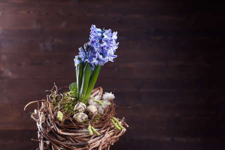 hyacinths easter bouquet decorationの写真素材