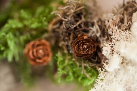 christmas decoration with larch conesの写真素材