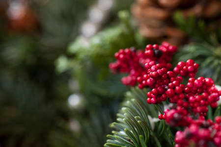 christmas decoration bouquetの写真素材