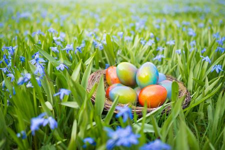 easter basket with colorful easter eggs on lawn between flowers