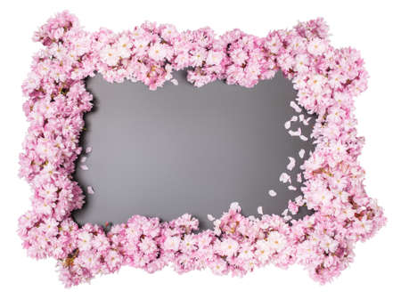 blackboard with cherry blossom frame in spring as backgroundの写真素材