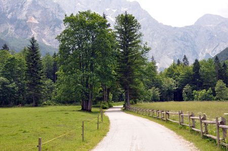 Scenic valley road with mountains and treesの写真素材