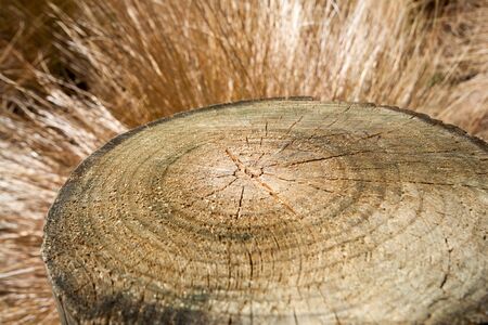 Haystack wood rings