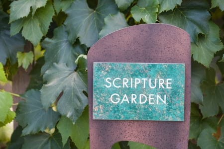 Colorful and different flowers in the garden settingの写真素材