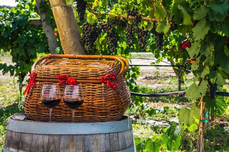  picnic basket and 2 glasses of red wine sitting on wine barrelの写真素材
