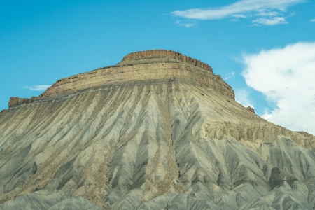 Wine grapes ready for harvest in the vineyardの写真素材