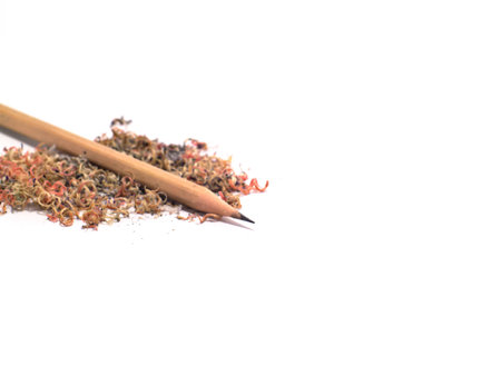 brown pencil with pencil sawdustの写真素材