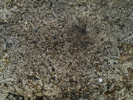 closeup shot of rough and grainy concrete surface with stains