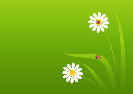 background with daisies and ladybug のイラスト素材